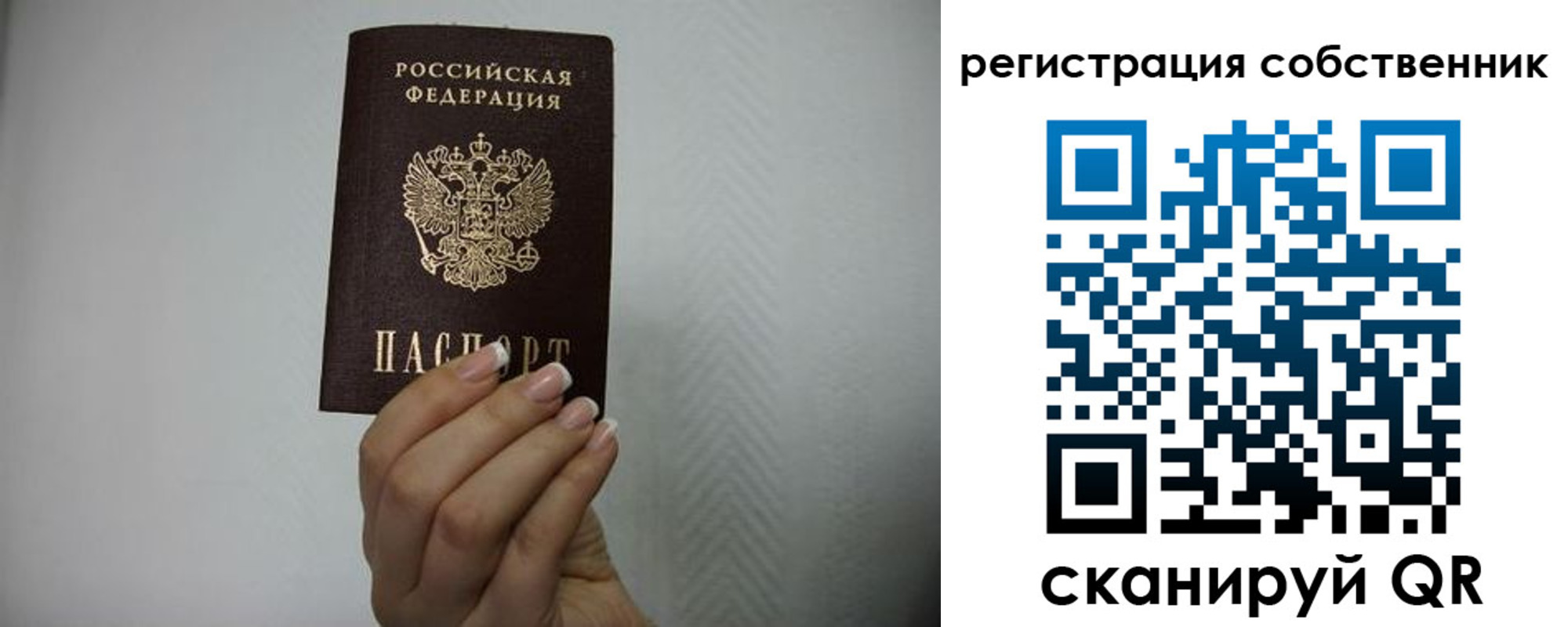 временная регистрация для школы в Борзе